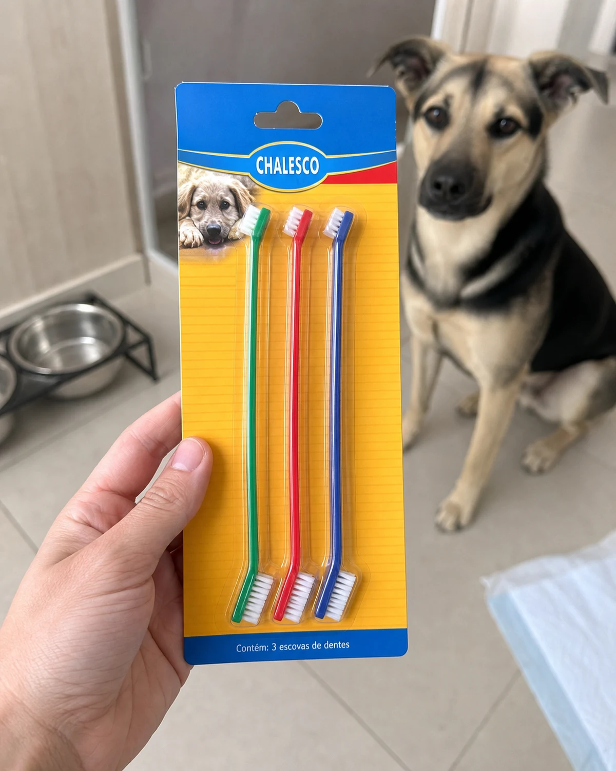 Chalesco escovas de dente para cães