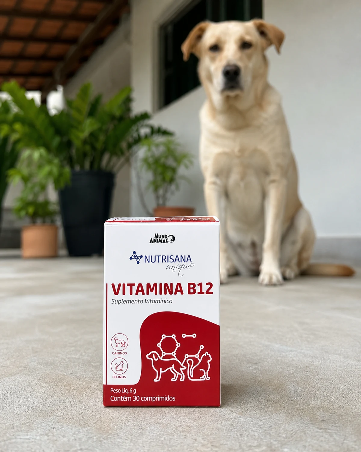Suplemento Nutrisana Vitamina B12 para cães e gatos, caixa com 30 comprimidos