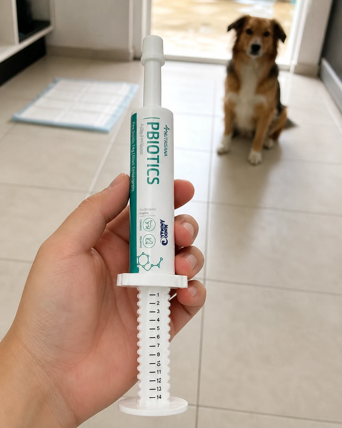 Mundo Animal Nutrisana Pbiotics seringa 14 g