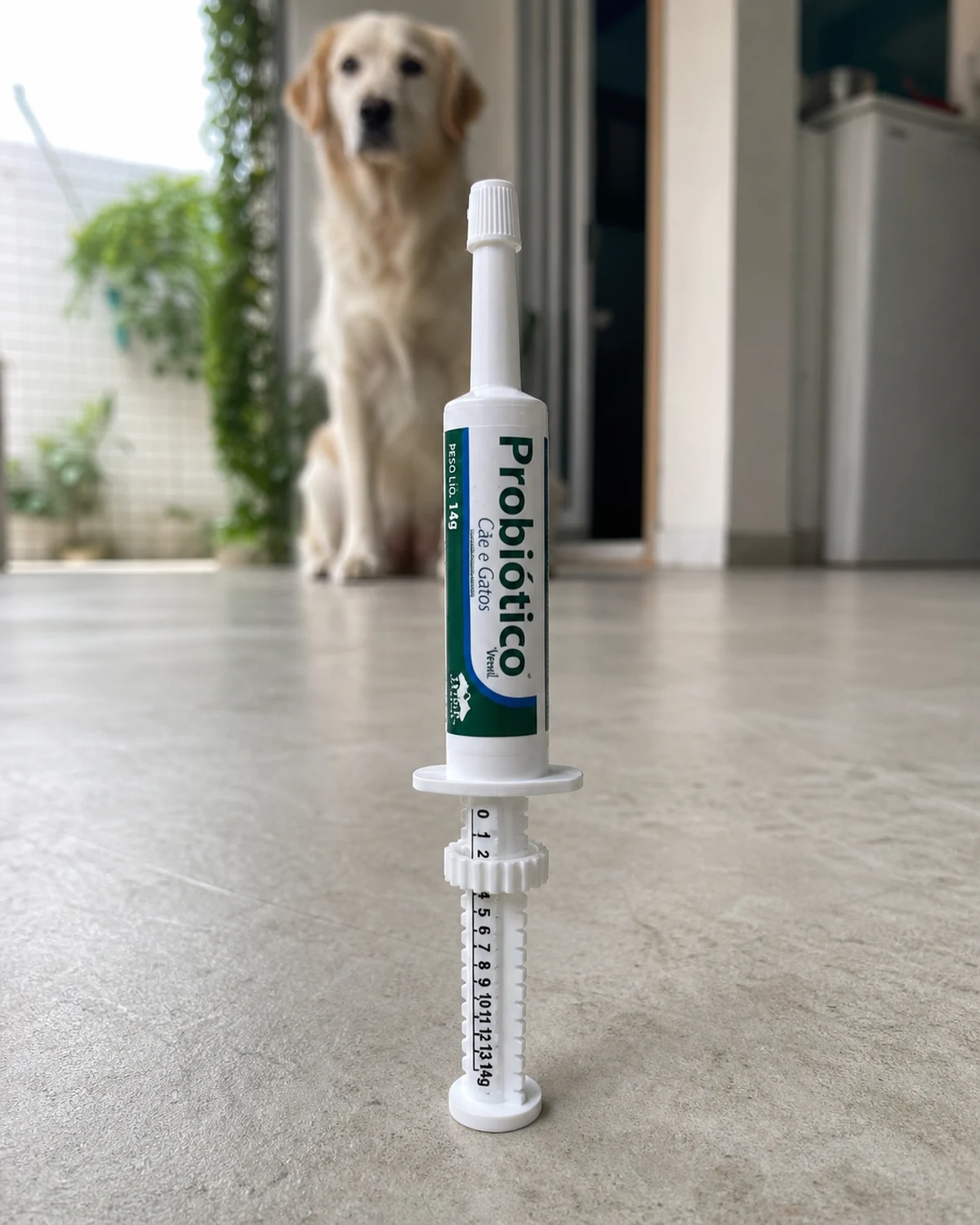 Vetnil Probiótico para cães e gatos 14 g